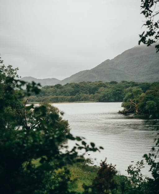 Aisling