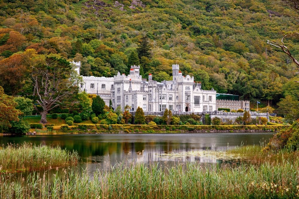 Wild Connemara